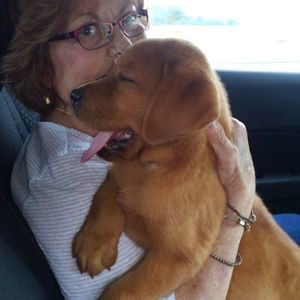 Meet your Posher, Irene